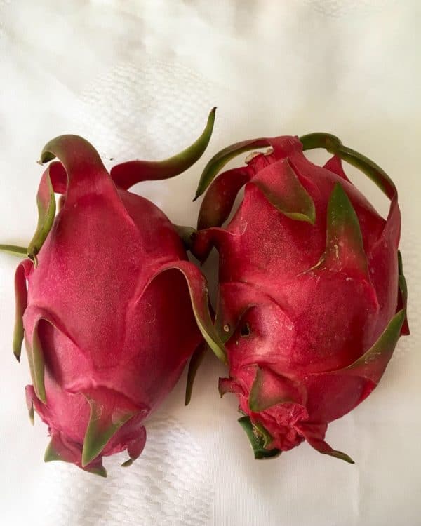 ejder meyvesi dragon fruit