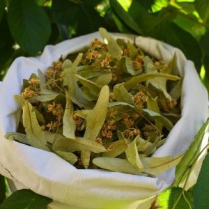 Kilo Almadan Süt Yapan Yiyecekler