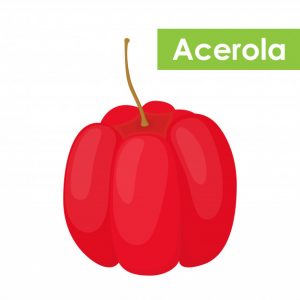 acerola meyvesi faydaları 