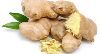 Gingerol Nedir? Bilinen En Kuvvetli Antioksidan!