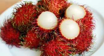 Rambutan Meyvesi Faydaları Nelerdir? Nasıl Yenir?