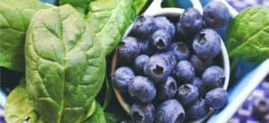 quercetin faydaları 