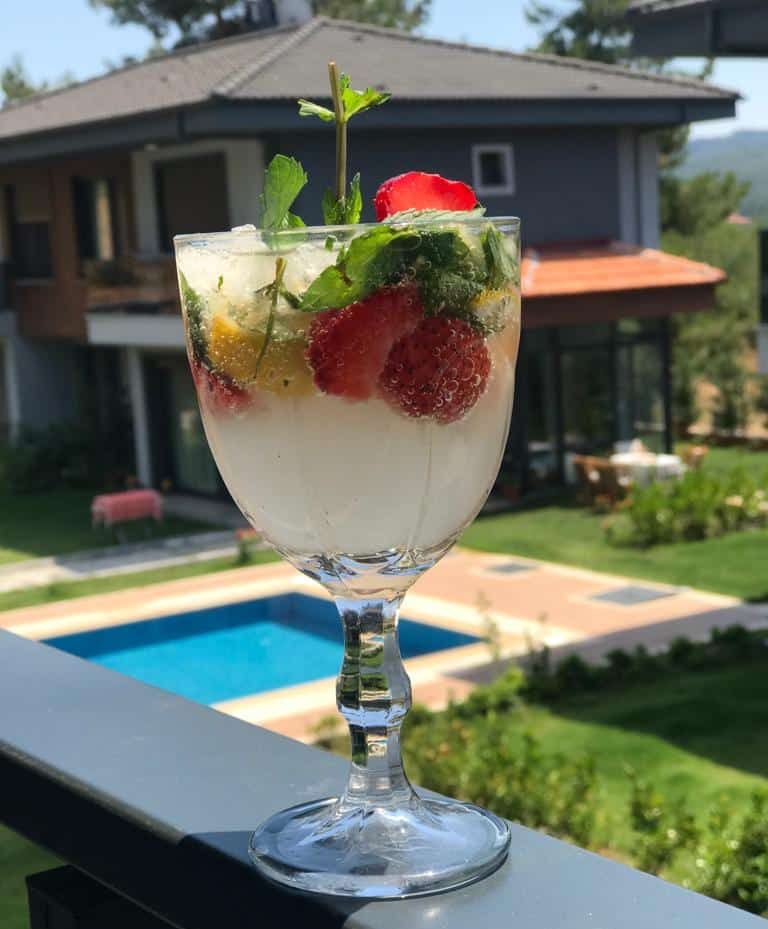 alkolsüz mojito tarifi