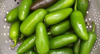 Jalapeno Biber Turşusu Tarifi: Prebiyotik, Kolay Tarif!