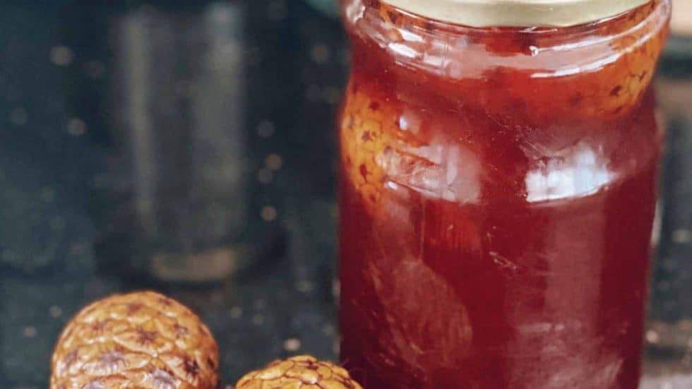 çam kozalak şurubu faydaları