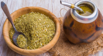 Yerba Mate Nedir? Faydaları ve Zararları Neler?