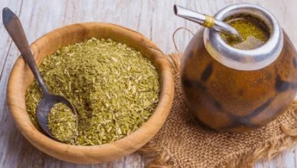 YERBA MATE ÇAYI FAYDALARI