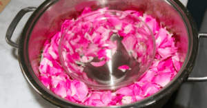 gül suyu damıtma