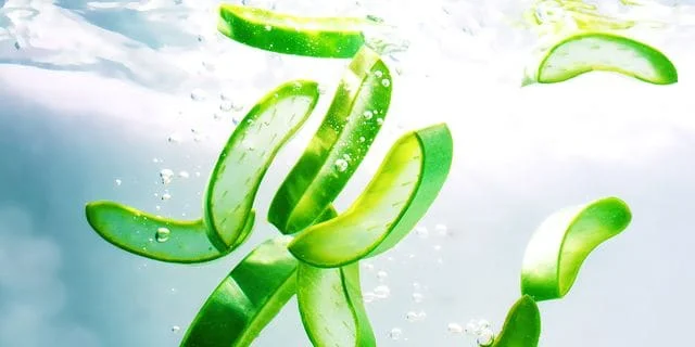 Aloe vera suyu faydaları