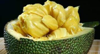 Jackfruit Meyvesi Nedir? Jack Fruit Türkiye’de Var mı?