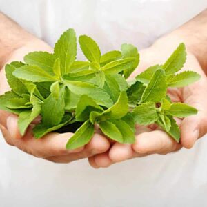 stevia sıvı tatlandırıcı