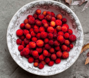 Kurutulmuş dağ çileği faydaları