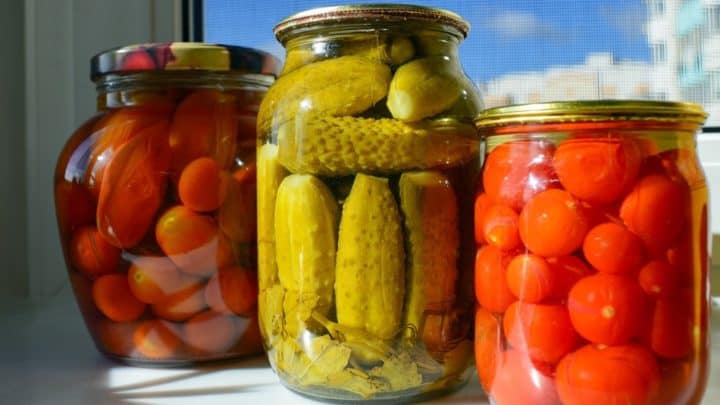 Turşu neden salyalanır