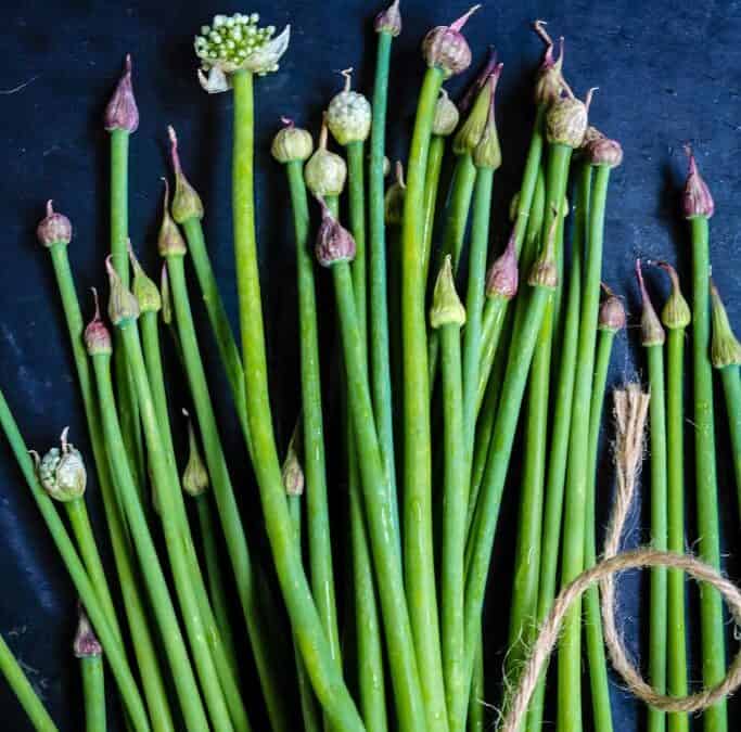 erkek soğan tarifleri
