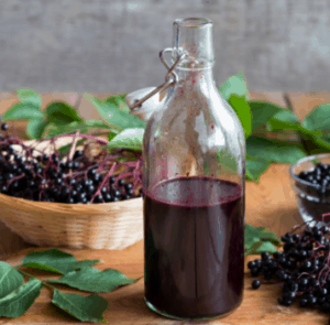 sambucus nigra nedir