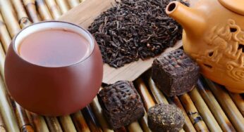 Pu-erh Çayı ile Zayıflamak Mümkün mü?