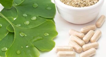 Ginkgo Biloba Nedir? Faydaları Neler?