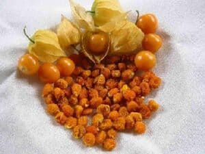 Taze altın çilek faydaları