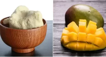 Mango Yağı Nasıl Yapılır? Cilde Faydaları