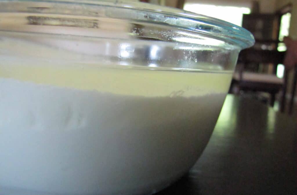 Yoğurt Suyu Kürü Nasıl Yapılır? Bebeklere Verilir mi?