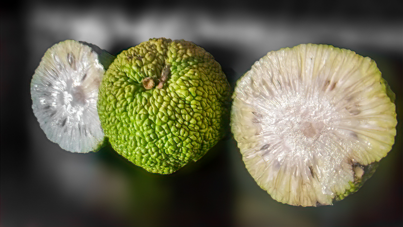 yalancı portakal yağı faydaları