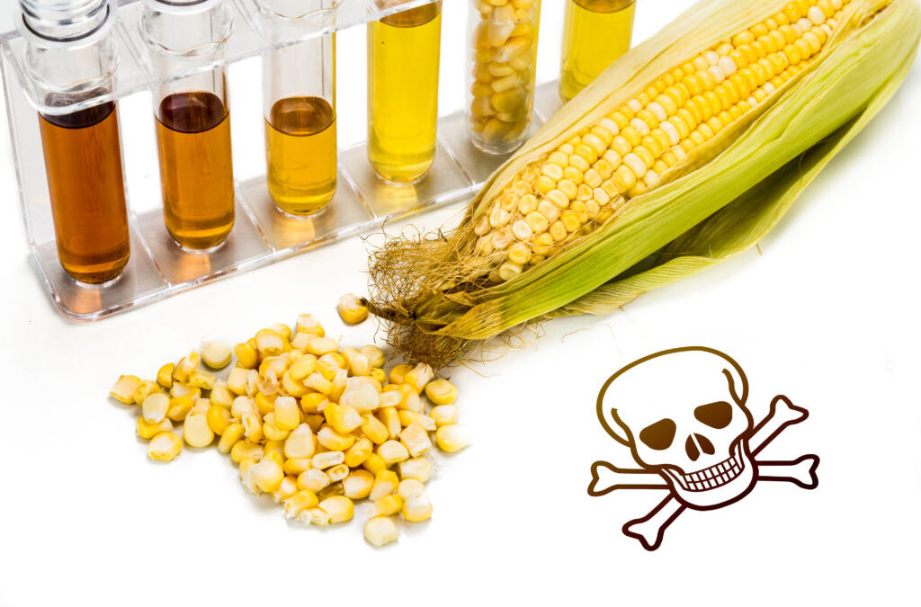 Yüksek Fruktozlu Mısır Şurubu Nedir?