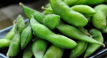 Edamame Nasıl Hazırlanır? Kabukları Yenir mi?