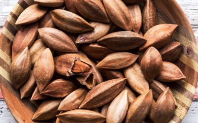 Pili Fındığı Nedir? Besin Değerleri