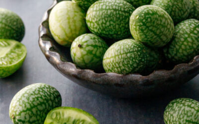 Meksika Karpuzu Nasıl Yenir? Cucamelon Meyvesi