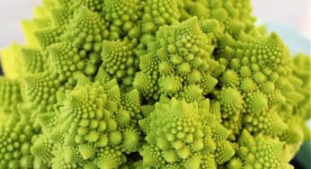 Romanesco Nedir? Piramit Karnabahar Nasıl Pişirilir?