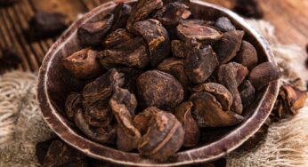 Kola Fındığı Nedir? Kola Nut Faydaları Neler?