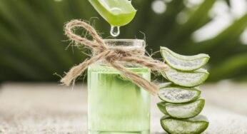 Aloe Vera Saç Uzatır mı? Saç Çıkartır mı?