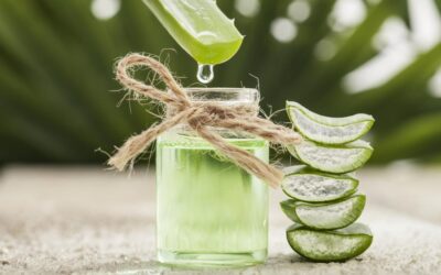 aloe vera saç için nasıl kullanılır