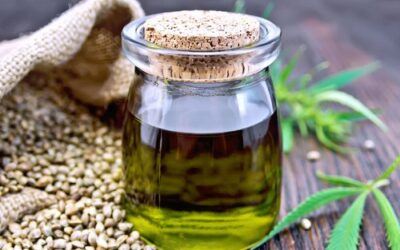 Kenevir Tohumu Yağı Saç için Faydaları Neler?