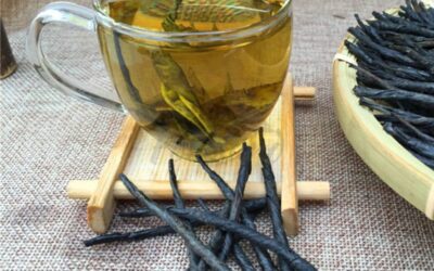 Kuding Çayı Nedir? Faydaları Neler?