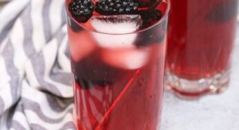 Berry Hibiscus İçinde Ne Var? Nasıl Yapılır?