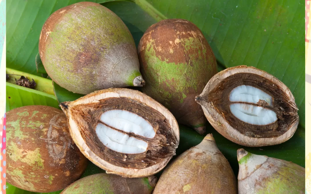 Babassu Yağı Cilde Faydaları & Saça Faydaları