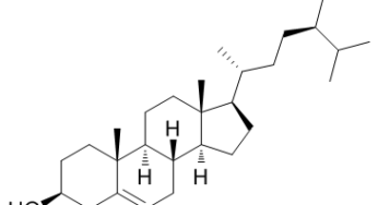 Beta Sitosterol Hangi Bitkilerde Bulunur? Ne İşe Yarar?