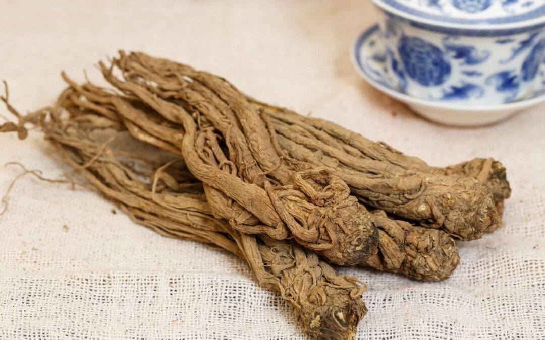 Dong Quai Faydaları