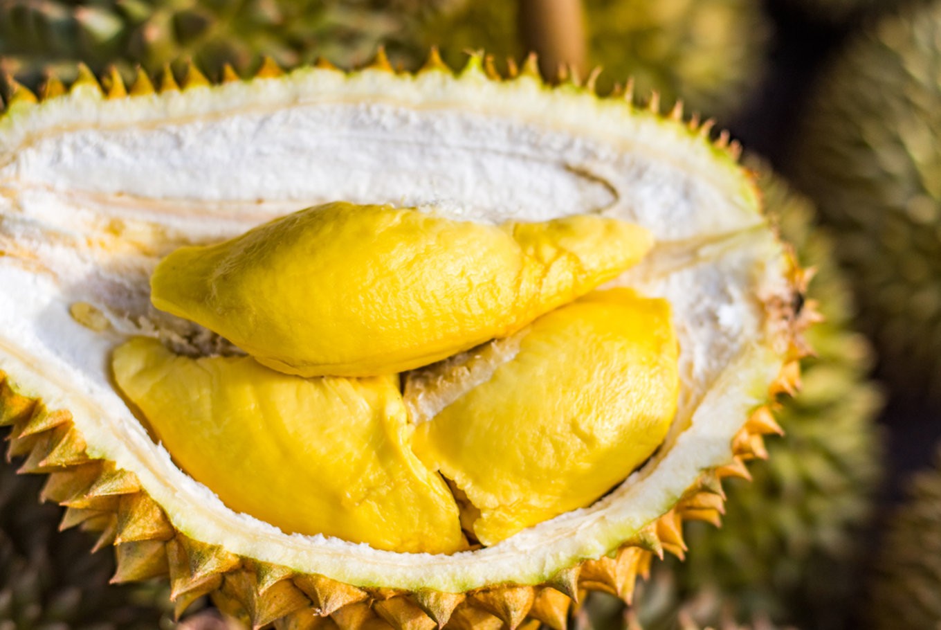 Durian meyvesi ekşi