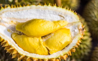Durian Meyvesi Nerede Yetişir? Kokusu Nasıl?