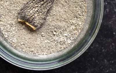 Mantar Tozu Nasıl Yapılır? Nerelerde Kullanılır?