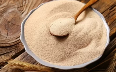 Bira Mayası Nedir? Kullanımı