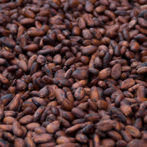 Kakao çekirdeği Nasıl tüketilmeli