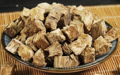 Kudzu Kökü Nedir? Kudzu Bitkisi Faydaları Neler?
