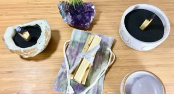 Palo Santo Ağacı & Palo Santo Tütsü Kokusu