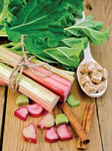 ravent türkiye'de nerede yetişir