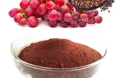 Siyah Üzüm Çekirdeği Tozu ile Cilt Maskesi