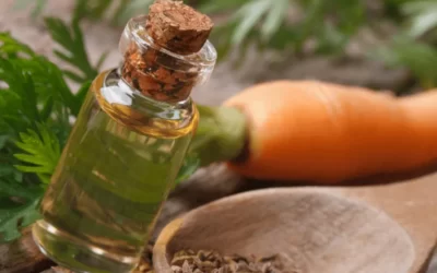 Havuç Tohumu Yağı Nasıl Kullanılır? Yüze Sürülür mü?