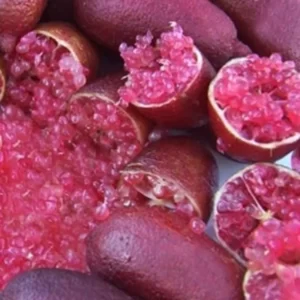 Havyar limonu ne ise yarar
